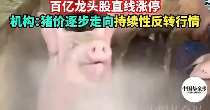 猪周期拐点落地，猪价上涨，养殖板块迎来修复行情