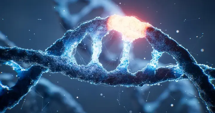 解锁中医药理论创新密码，开启传统医学新征程