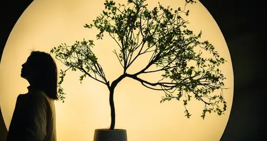 所有的女人，终有栖息之地，不是他人，而是自己