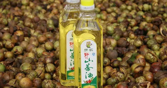 《有机食品山茶油最可靠，自然馈赠的健康臻品。》