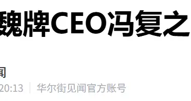 魏牌九年换八帅：刚卖爆就换CEO，魏建军的 “急”掐住品牌的命？