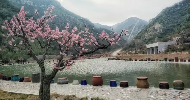 人间四月，一半烟火，一半清欢（散文）