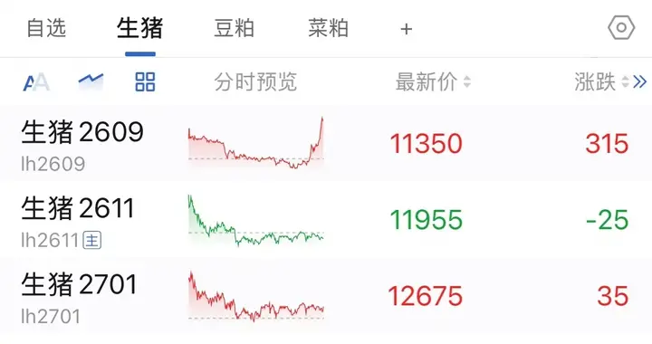 现货涨3毛6，期货近月逼仓！养猪人警惕：反转没来 恐慌先别上头！