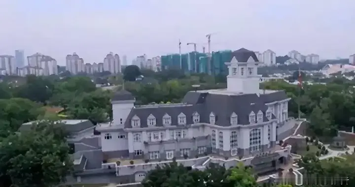 胡静晒豪门生活，和朱兆祥五兄妹住6000平庄园，猫山王榴莲挂满枝