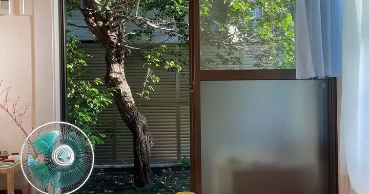 看了日本一女子的家，才知道什么叫烟火气，一进门就被治愈了