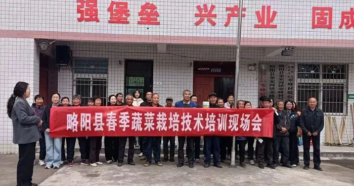 农技培训送田间 略阳金家河寒峰村菜农学技赋能增收