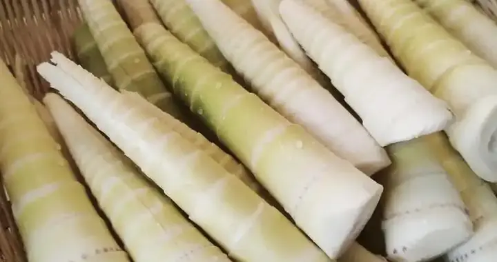竹笋再次成为关注对象！医生提醒：吃竹笋时，要多注意这4点！