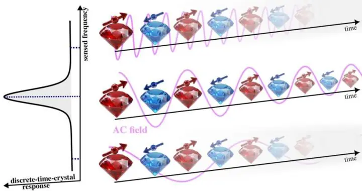 离散时间晶体变身“量子传感器”：精准捕捉微弱磁场振荡