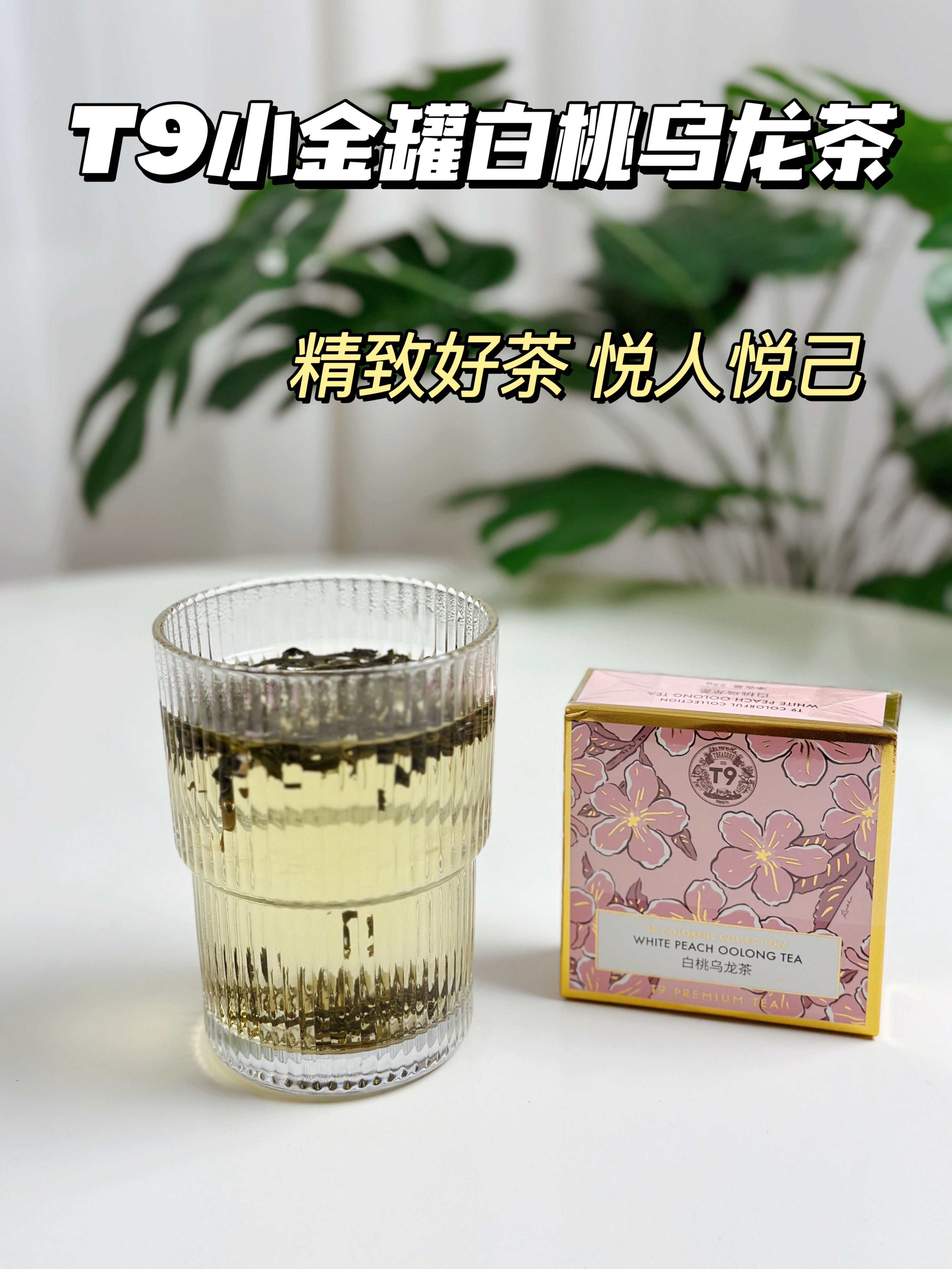 T9小金罐白桃乌龙茶｜精致好茶悦人悦己