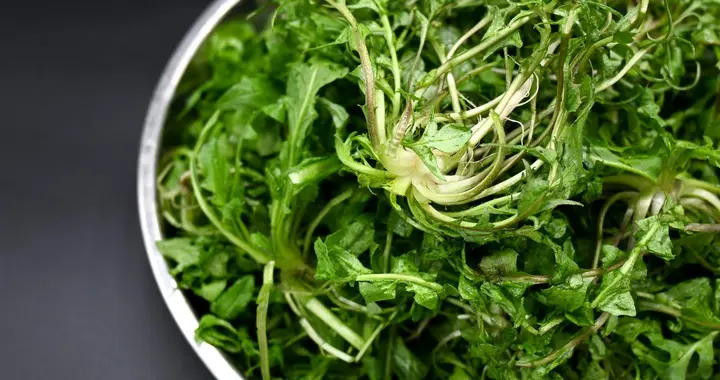 荠菜再次成为关注对象！医生提醒：吃荠菜时，千万多留意这几点！