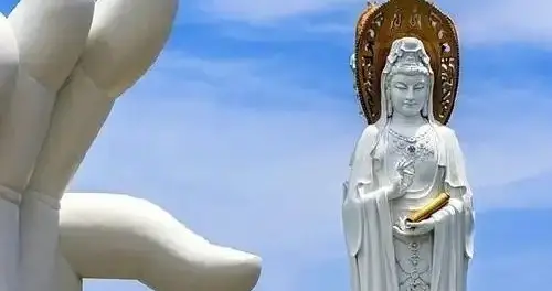 《人生五不亏》包含的科学价值