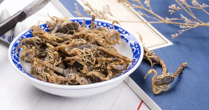 妙用全蝎治疗疑难杂症（一）