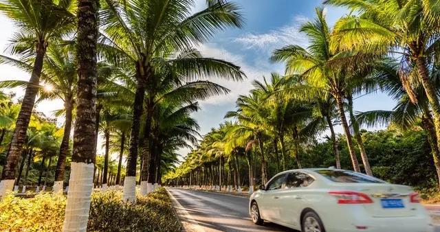 海南2030年禁售燃油车，为什么这么快？燃油车爱好者怎么办？