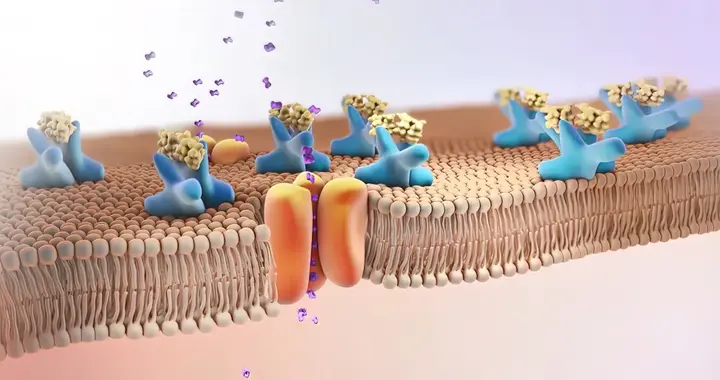 糖友警惕！这3个日常坏习惯，正在悄悄让你的尿酸飙升