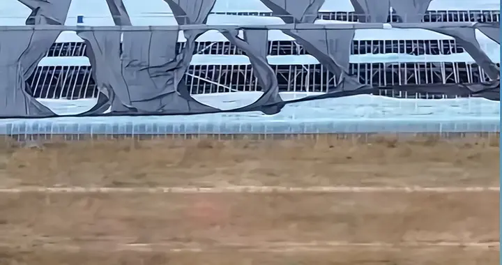 又一产业暴雷！央视曝：1.2亿投资仅换5座大棚，空壳公司骗钱跑路
