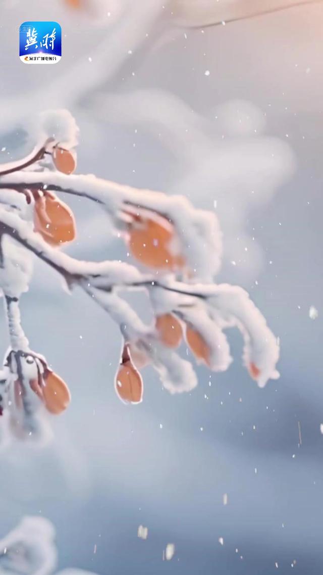 今日大雪！老人说今年夏至和往年大不同，有3大特点，早了解！