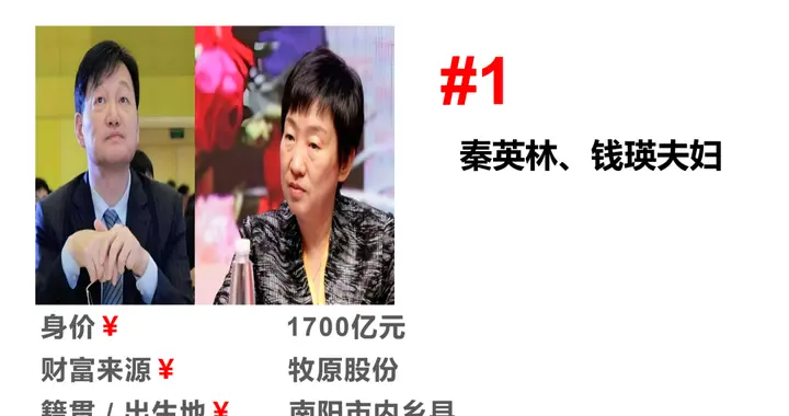 2026年，河南前十富豪排名