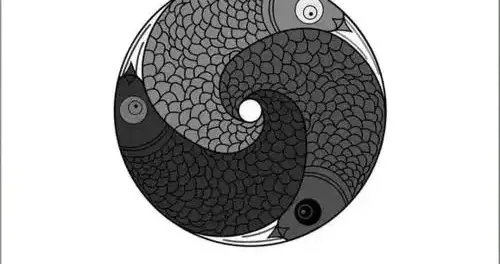 读懂<易经>这9卦掌握生存主动权从困境到顺境的破局智慧（下篇）