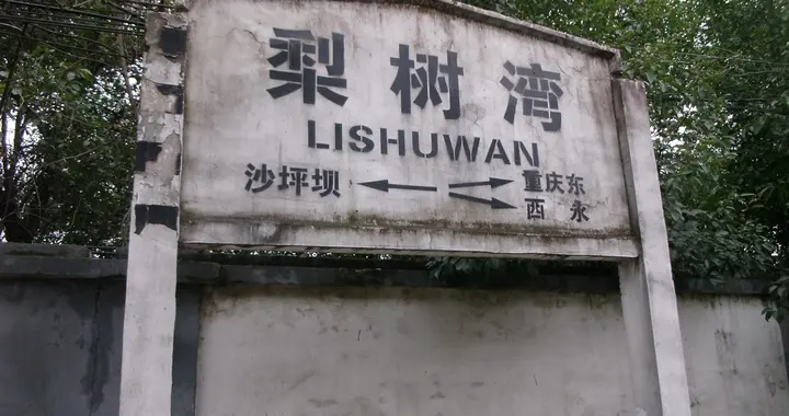 停用十年的梨树湾火车站，后来改建为机车整备的折返所