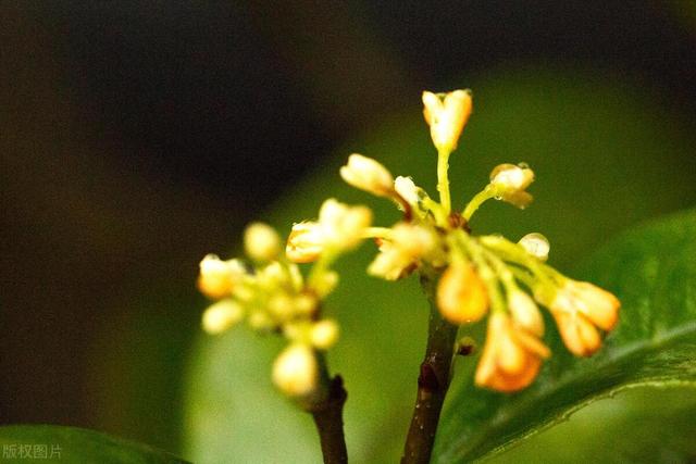 阳虚体质怎么补阳，掌握这两个关键，比吃药还管用！