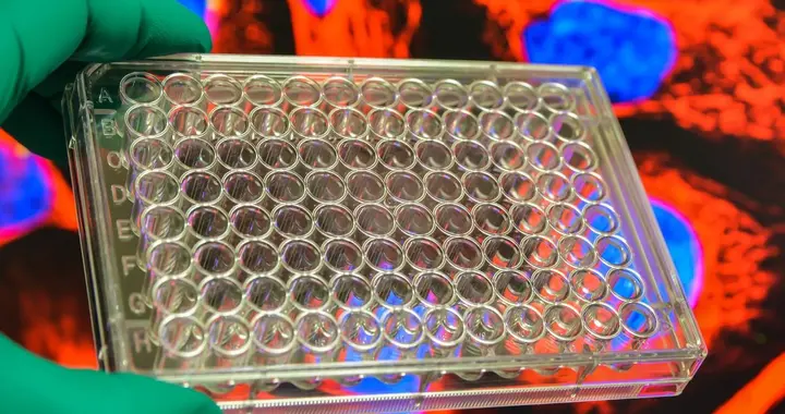 英国媒体：中国突破禁令的方式简单粗暴，日本将助中国科技腾飞