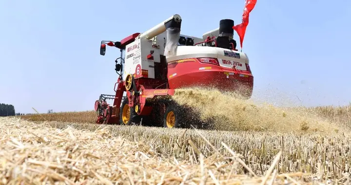 中国粮食产量超7亿吨稳居世界第一，为啥还要进口1.4亿吨粮食？