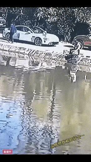 毛孩子薯条：司机把车开到河边，一车人就这