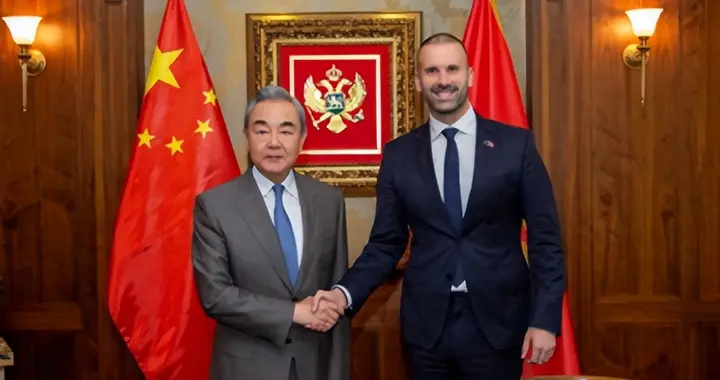 出大事了！北约成员国邀约中方，中文接待王毅，中欧不该走向对立