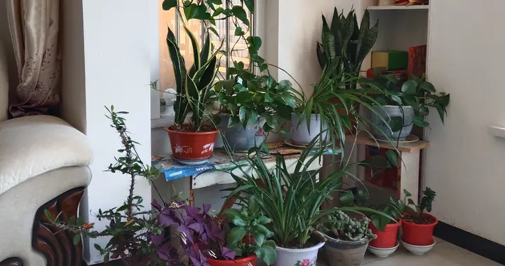 我骂了老公40年窝囊废，退休后他却要离婚，女儿的话让我脊背发凉