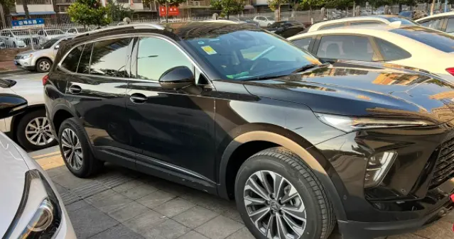 国内“B级SUV”月度销量王：追上了ModelY，单月销量冲破2万台