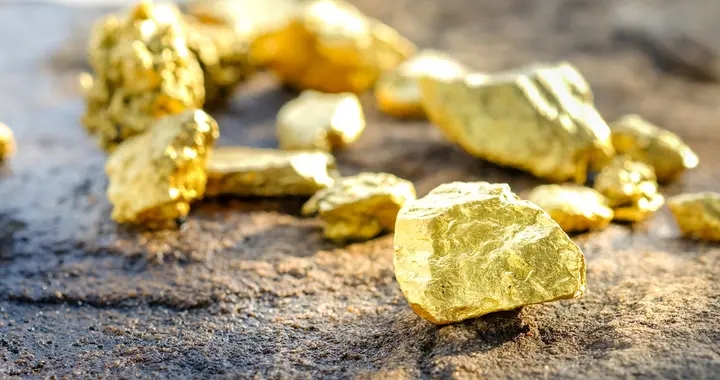 山东黄金和山金国际的业绩和估值