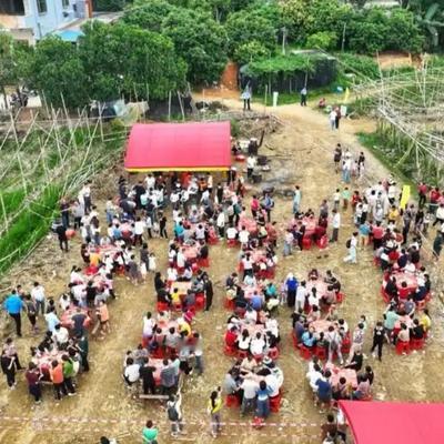 天际自由游走的云朵：【广州增城蔗农设23