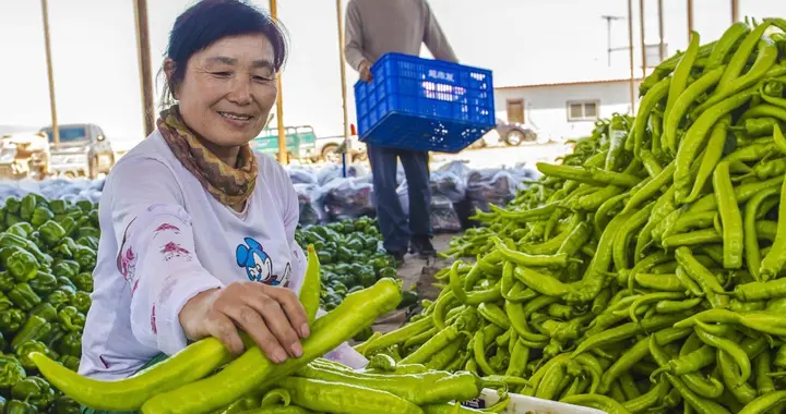 美国农业那么发达，为何普通美国人吃的蔬菜水果却没有中国丰富？