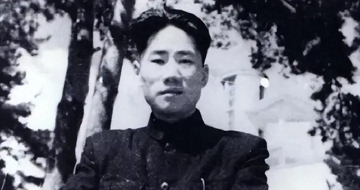 朝鲜战场上彭德怀犹豫变招，毛岸英不经意说出口头禅