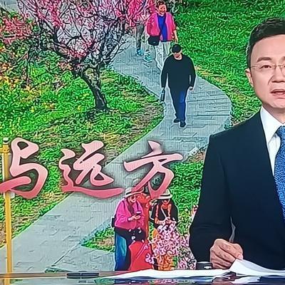 溪水盈盈：我外甥女领着俩女儿，还有女儿的