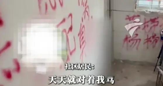 以猫报复、恶臭扰民：极端泄愤，岂能绑架整栋邻居