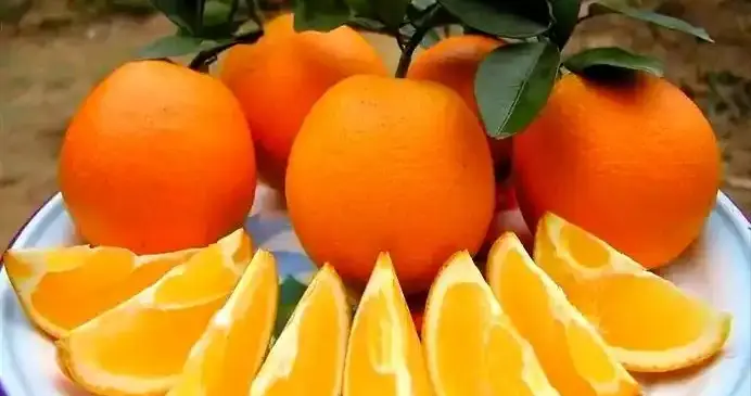 橙子再次被关注！医生发现：高血脂患者常吃橙子，或出现6种变化