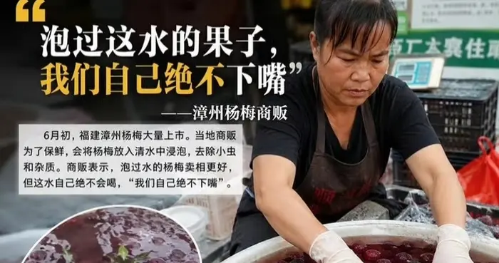 泡药杨梅：70岁奶奶崩溃背后，受伤的不只是果农