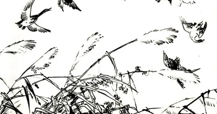 可怜自尽的女人脸色沉道，是人就陷进泥里死，是鬼就沉到水里淹死