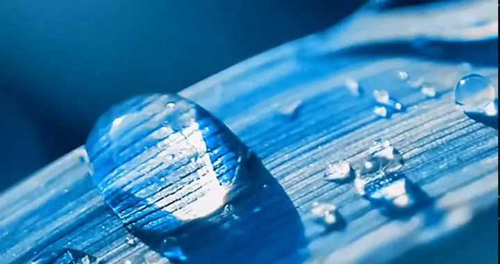 今年寒露不一般，老话“寒露怎么样，冬天就咋样”这个冬天冷不冷