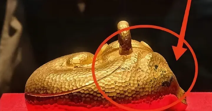 网友爆料：南京博物院镇馆之宝，估值40亿的“金兽”掉色了