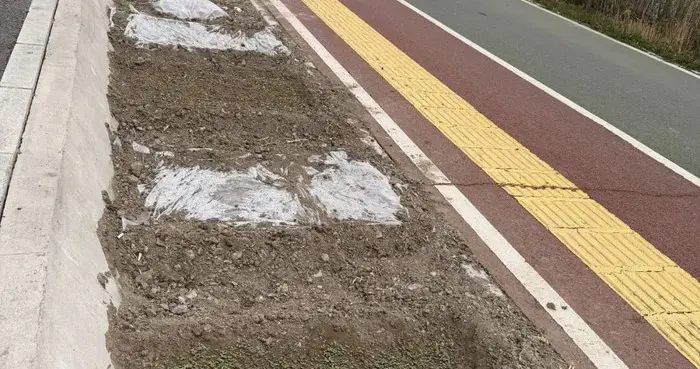 好家伙！小区绿地变“私家菜园”，城管上门执法竟遭激烈阻挠？