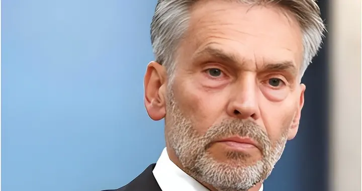 40年前卖潜艇，40年后抢安世，荷兰屡屡背信弃义，背后谁在推动？