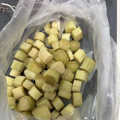 韧心渡岁月： 今天