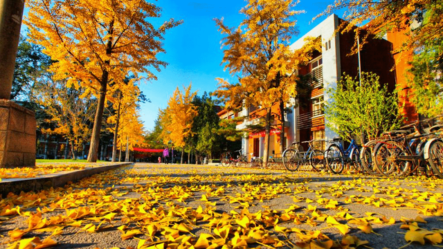 天津和北京的两所农学院，哪家会先更名“大学”？