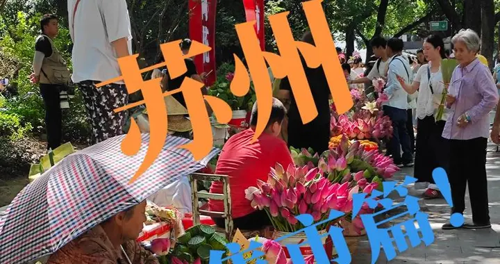 百米荷香涌动！姑苏荷花市集出圈，一朵荷花撑起古城文商旅产业