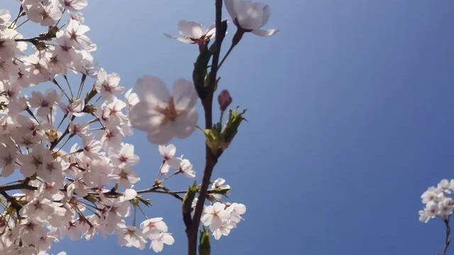 乐天派孙大聖：我对这个问题挺新鲜感！但我