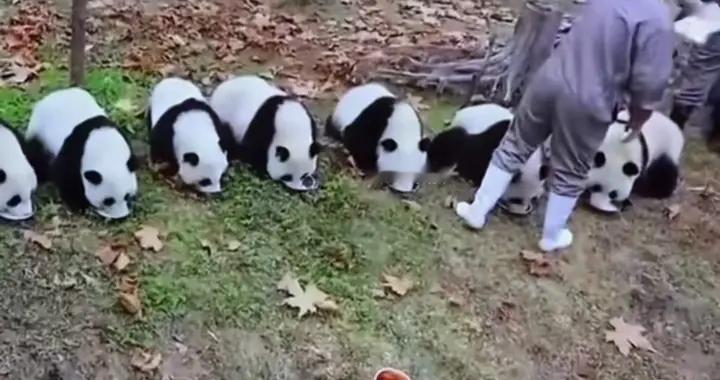 花花，我来看你了——席景斌