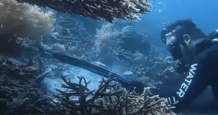 他在保护区射杀海龟，自己把视频传上网，48小时后在机场被拦下