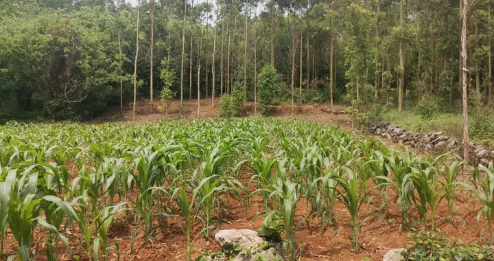 我跟你说：50岁后睡不好、半夜老醒？晚饭别吃这3样，尤其第2样！